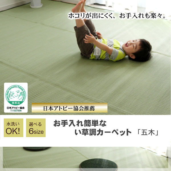 日本アトピー協会推薦品 洗える PPカーペット「五木」