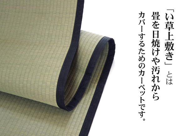 い草上敷き 麻綿織 -清正- | 家具の総合通販サイト AKAYA(赤や 